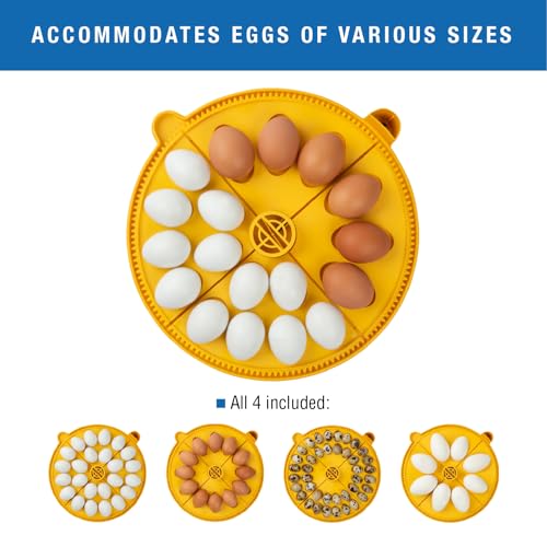 Brinsea Maxi 24 EX Connect Fully Automatic Smart Egg Incubator with App | 50+ years of innovation! Ultimate smart incubator with app-driven controls and real time alerts gives you total peace of mind