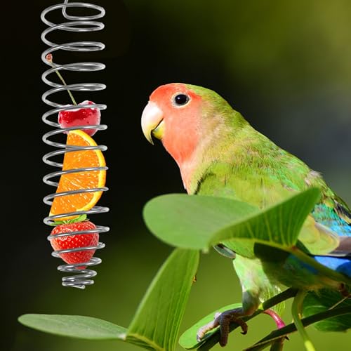 2Pcs Bird Foraging Toy, Steel Holder for Bird Cage Accessories Hanging Fruit Vegetable Feeder for Parrot Cage Parakeet - size: Two