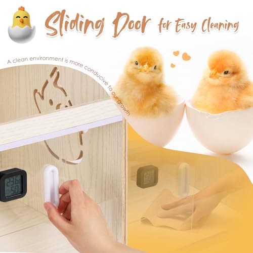 NEWTRY Brooder Box for Chicks 32" Brooder with Heating Lamp Waterer Feeder | 2 Types of Thermometer 32 * 15 * 15” Brooder Box up to 35 Chicks Quail Birds
