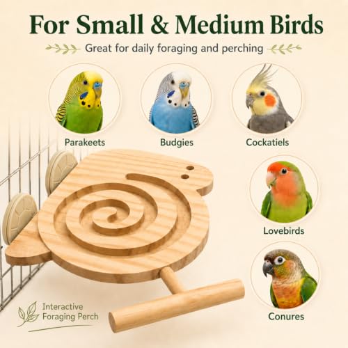 Bird Foraging Toy with Perch, Wooden Spiral Treat Feeder for Small & Medium Birds, Parakeet, Budgie, Cockatiel, Lovebird and Conure Cage Enrichment Toy