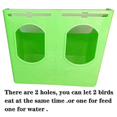 Pigeon Feeder Water 2 Pack Quail Bird Chicken Feeder Water Dispenser Drinkers with 2 Hole Pet Bowls & Feeders Eat Food (Two Hole (Green))