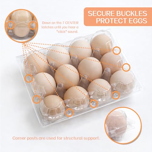 WIKDAY Plastic Egg Cartons 100 Pack 12 Count Cheap Bulk Clear | with Date Tracking Stickers Egg Care Instructions, Dozen Reusable Empty Egg Containers for Chicken Eggs Storage Farm Markets