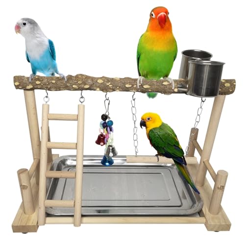 PINVNBY Bird Playground Parrot Playstand Birds Play Stand Wood Exercise Perch Gym Stand Playpen Ladder with Feeder Cups Hanging Swing Toys for Parakeet Conure Cockatiel Budgie Cage Accessories - size: One Floor With Ladder