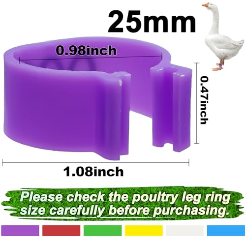 60 Pcs 25mm Extra Large Chicken Leg Bands, 6 Colors 01-60 Numbered Turkey Leg Rings Duck Identification Bands Poultry Ankle Tags Wide for Turkey Guinea Goose Duck Chicken Gamefowl - size: 25mm - 6 Colors
