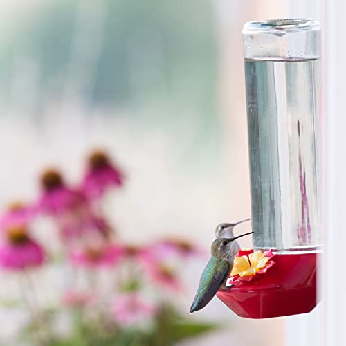 Perky-Pet Window-Mounted Glass Hummingbird Feeder - 14 fl oz Nectar Capacity - Entertaining Bird Watching - Glass Window Bird Feeder - 455-2 - Family Birdwatching - size: (Pack of 1)