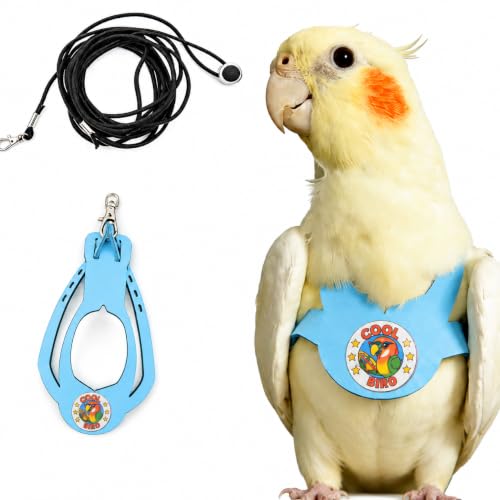 Bird Harness and 3M Elastic Flight Leash, Adjustable Parrot Harness for Budgies, Parakeets, Lovebirds, Cockatiels, Conures, Quaker Parrots, Pigeons(Blue, M) 6350-23 - color: Light Blue, size: M,for Cockatiel and similar size birds