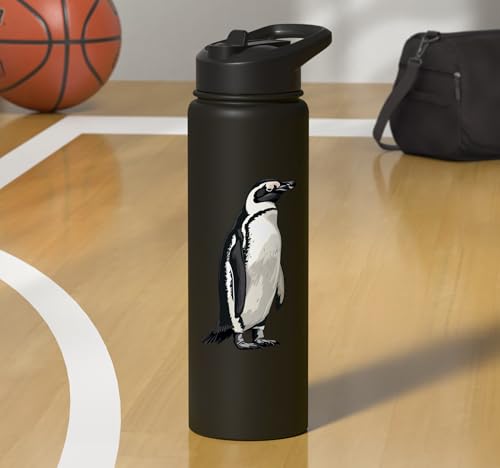 Penguin Stainless Steel Insulated Water Bottle - color: Black