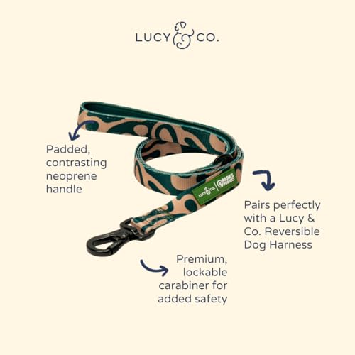 Lucy & Co. x Parks Project Geyser Dog Leash, Durable Matching Dog Lead with Heavy Duty Hardware, Small - color: Geyser, size: Small