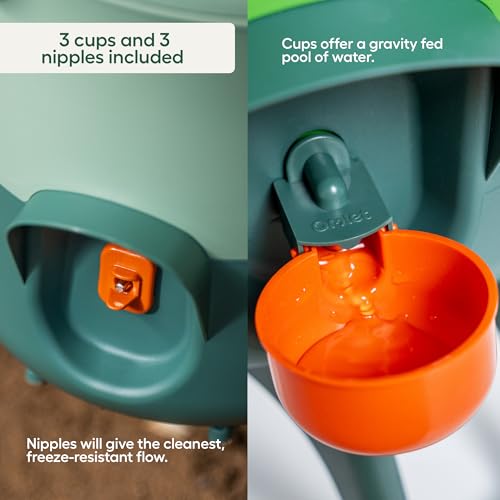 Omlet Insulated Chicken Waterer, 1.5 Gallon | Stay-Clean Automatic Water Dispenser for Chickens | BPA-Free | Anti-Roost Domed Lid | Includes 3 Cups & Nipples | Sage Green - color: Sage Green, size: 1.5 Gallon