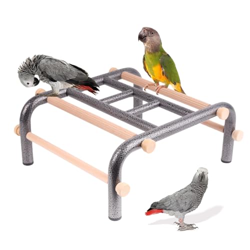 Metal Ladder Large Bird Training Perch for Fun and Exercising, No Tool Quick Install Heavy-Duty Rustproof Table Training Perch with Wooden Bars for African Grey Macaw Amazon Parrot - color: Round Tube - Ladder, size: Large Size