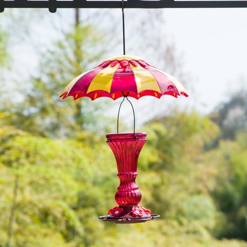 Beserie Hummingbird Feeder Umbrella Cover 14" with Ant Moat Big RedYellow | Dome Shade Weather Rain Guard, Hanging Squirrel Baffle for Bird feeders, Anti Sun/Snow/Ants Keep Nectar/Seed Fresh 3 Hooks - color: Red
