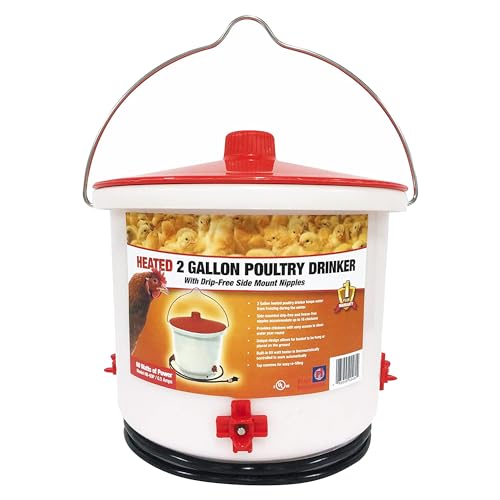 Farm Innovators HB-60P Thermostatically Controlled Heated 2-Gallon Plastic Outdoor Year-Round Poultry Chicken Water Bucket Drinker, White/Red (2 Pack) - color: 2 Gallon, size: 2 Pack