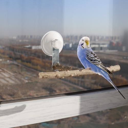 Bird Window Perch Stand with Suction Cup, Outdoor Travel Window Mirror Bird Stand Toy, Suitbale for Small and Medium Bird Parrot Parakeet Cockatiel