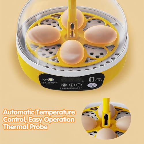 Tissting 4-Egg Mini Incubator with Transparent Lid | 7W Power & Humidity Control | Clear Viewing Window | Auto Egg Turning | for Chicken, Duck, Quail, Pigeon(Auto Turning) - color: 4 Eggs Auto Turning