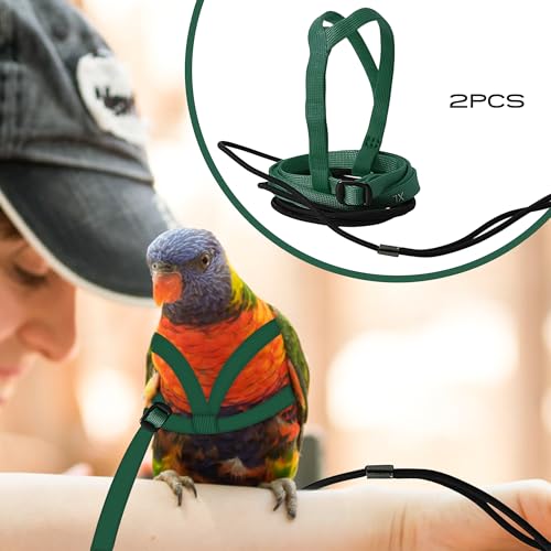 2 pcs Pet Parrot Bird Harness and Leash, Adjustable Training Design Anti-Bite, Outdoor Flying Training Rope Kit for Bird Parrots Fits Birds Chest Between24-51cm /9.45-20inch - M (Green) - color: green, size: Small