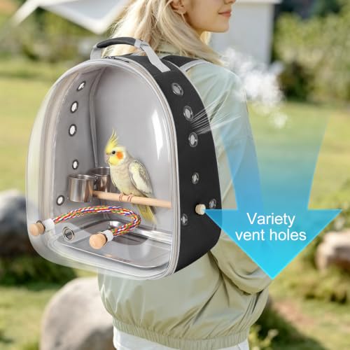 Bird Traval Carrier Cage, Multi Vent Holes Clear Space Capsule Astronaut Backpack to Carry Parakeet Cockatiel Parrot with Metal Tray Wood Perch, Vet Transport Book Bag - color: Black
