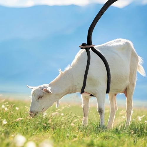 Goat Harness For Walking - Washable Goat Leash And Accessories - Livestock Supplies - color: Black