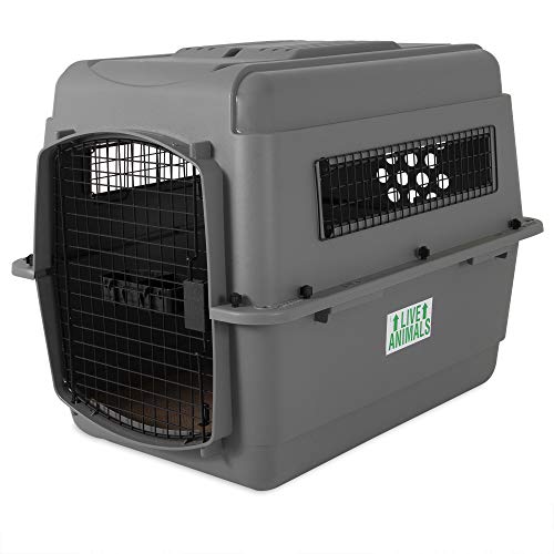 Petmate Sky Kennel - For Air and Travel, Airline Compliant Dog Crate for Pets 30-50 lbs, Heavy Duty Dog Kennel, Made in the USA- 32 Inches - size: 32 Inch