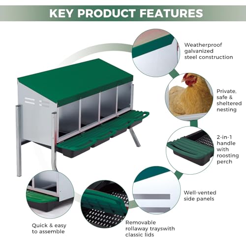  Chicken Nesting Box with Cleanable Pull Out Trays, 4 Hole Roll Away Nesting Box for Laying Hens, Wall Mount or Placed Design for Easy Egg Collection ﻿ - color: Green, size: 4 Holes with legs