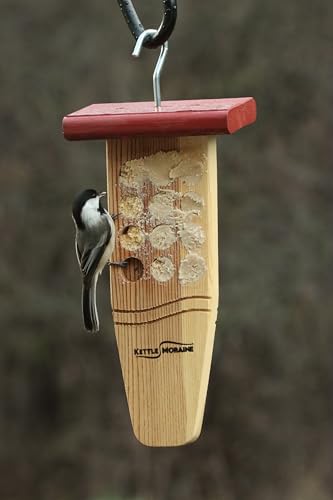 Peanut Butter Bird Feeder (Red) - color: Red