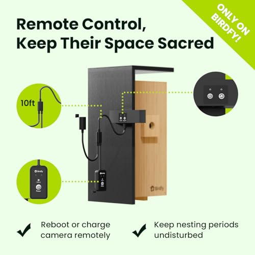Smart Bird House with Dual 1080P Cameras, Lifetime Free AI Bird ID | Solar Powered, Remote Control, Bamboo Bird Nest for Garden & Bird Lovers, Watch Robin Nesting Story in Realtime, DIY Gift
