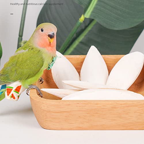 Natural Cuttlebone for Birds Parakeets Canaries Cockatiels Small Conures Mynahs Toucans African Greys All Parrots Snails Totoise, with Holder for Bird Cage (4-5 inch,2PCS) - size: 4-5 Inch (Pack of 2)