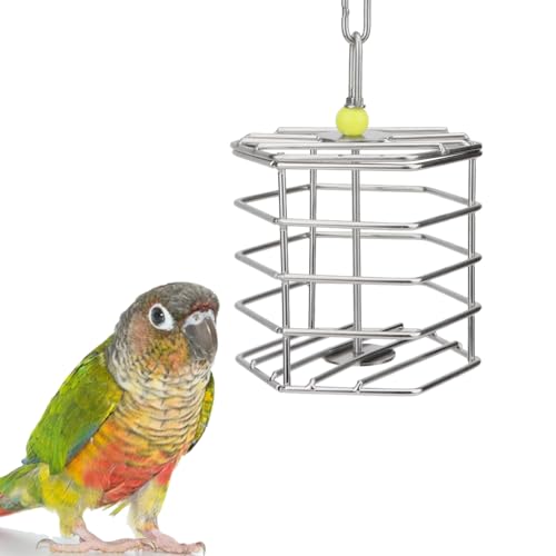 Hypeety Parrot Foraging Feeder, Stainless Steel, 4.09 x 4.09 x 3.85 in, Bird-safe, Dishwasher Safe, Filled with Nuts, Fruit or Veggies - size: Feeder