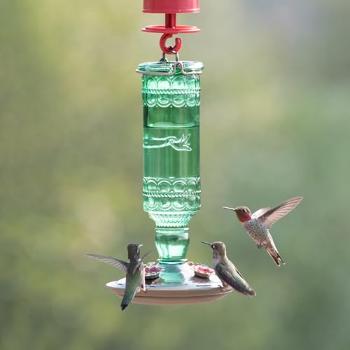Perky-Pet Glass Bottle Hummingbird Feeder - Outdoor Garden Décor Humming Bird Feeder,8108-1SR - 10 Fl Oz Nectar Capacity - Durable Green Antique Design - Hang from Tree,Porch,Deck,Hook,(Pack of 6) - style: Green Bottle (Pack of 6)