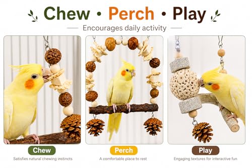 2 Pack Natural Bird Toys Set - Prickly Ash Wood Arch Swing with Walnuts & Cuttlebone - Sola Ball Shreddable Toy with Beak Grinding Pumice Stone, Cage Accessories for Cockatiel, Conure, Parakeets - color: Wood B(Sola Ball Set)
