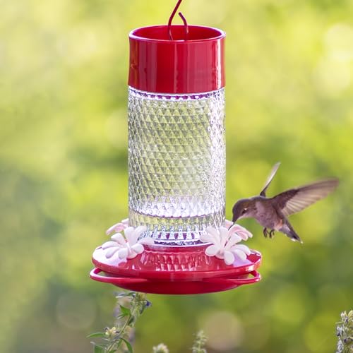 Nature's Way Hanging Glass Hummingbird Feeder for Outdoor Décor, 13 Ounce Capacity Nectar Feeder, Ant Moat, 4 Easy to Clean Flexible Ports, Red - style: 13 Ounce Capacity