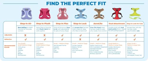 Voyager Escape-Proof Step-in Lock Cat Harness & 5ft Neoprene-Handle Leash Set All-Weather Mesh with Reflective Stitching for Small to Large Cats by Best Pet Supplies, Baby Blue (327), XS - color: Baby Blue (327), size: XS (Chest: 13 - 16")