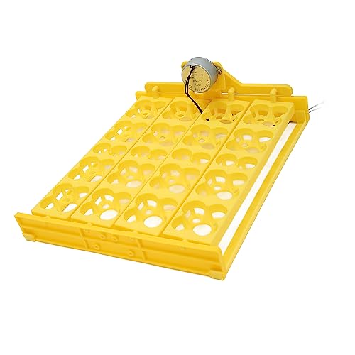 Automatic Egg Turner Tray - Multifunction Incubator Tray for 16 Duck Eggs, 72 Quail Eggs (AC110V) - size: AC110V