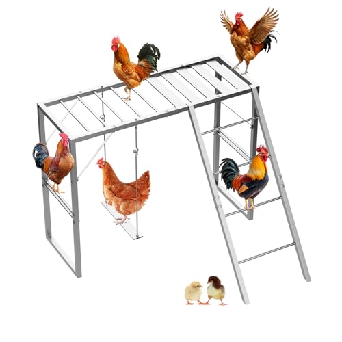 Metal Chicken Perch with Swing & Ladder for Coops or Runs, Gray | Rustproof Roosting Bars, Chicken Coop Accessories for Outdoor Chicken Playground & Jungle Gym to Keep Flock Happy and Active - color: Gray