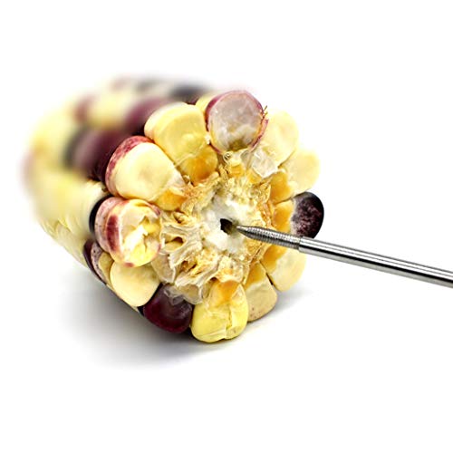 Stainless Steel Meat Food Holder Stick Fruit Skewer Bird Treating Tool Parrot Toy Bird Parrot Water Feeder - color: Yellow