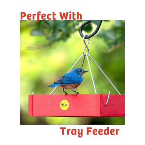 Birds Choice Cardinals Crave Bird Seed Wild Bird Food | Nutrient-Rich Bird Seed Blend | High-Energy with Safflower, Black Oil Sunflower Seeds & Peanuts | High Protein & Fat for Cardinals | 5 lbs | High-Energy Blend of Safflower, Black Oil Sunflower Seeds