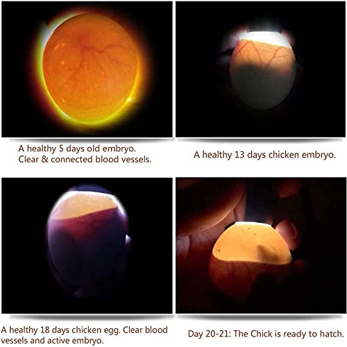 Egg Candler for Chicken Eggs, Rechargeable USB Egg Candling Light | High-Intensity Egg Candler Tester for Dark Eggs, All Chicken, Duck, and Quail - color: Black