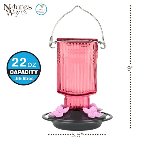 Nature’s Way Petal Pink Antique Glass Gravity Hummingbird Feeder with Bronze Plastic Base, 22 Ounce Capacity, 4 Flexible Pink Flower Ports and Perches, Bee-Resistant Design - color: Pink