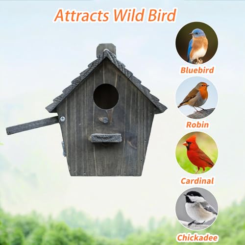 Bird House Black Birdhouse Bird Houses for Outside with Pole Wooden Bird House for Finch Bluebird House Cardinals Hanging Birdhouse Clearance Garden Country Cottages B8-2 - color: black