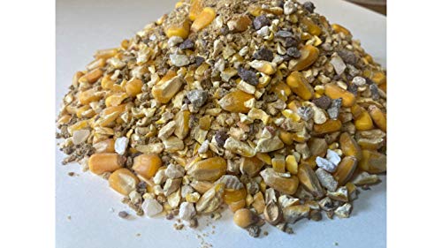 Wild Turkey Scratch Feed Supplement - All Natural Vitamin Fortified w/Oyster Shell Calcium - Game Bird Attractant (18 Pounds) - size: 18 Pound (Pack of 1)