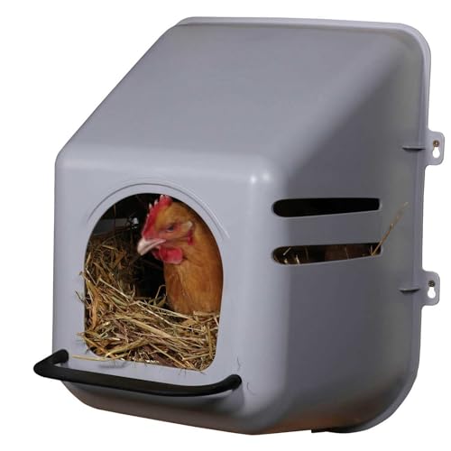 Miller 2 Pack of Large Wall Mount Egg Nesting NEST Boxes with Perch for Chicken COOP Hen House Poultry