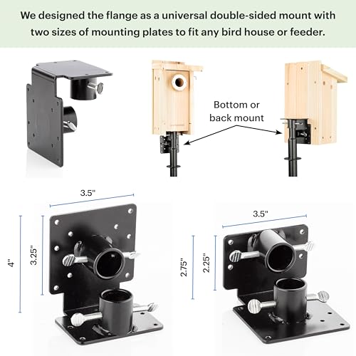 WHITEHORSE Bird House Pole with Baffle- A Professional Squirrel Proof Bird Feeder Pole - Very Sturdy Against Strong Winds - Bird House Poles for Outdoors - Pole for Bird Feeders - Bluebird House Pole - style: Mounting Pole with Baffle