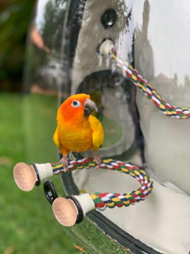 Bird Traval Carrier Cage, Clear Space Capsule Astronaut Backpack to Carry Parakeet Cockatiel Parrot with Metal Tray Wood Perch Bird Feeder, Vet Transport School Bag - color: Yellow