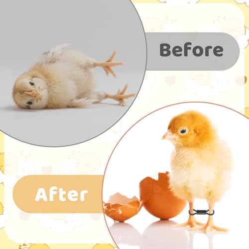 SynHHergyx Baby Chick Leg Bands, 100 Pcs Adjustable Splay Leg Bands for Chicks Poultry Legbands Chicken Hobble Braces for Newborn Spraddle Leg of Chick Quails Ducks Bird of 1 to 3 Days Newly Hatched