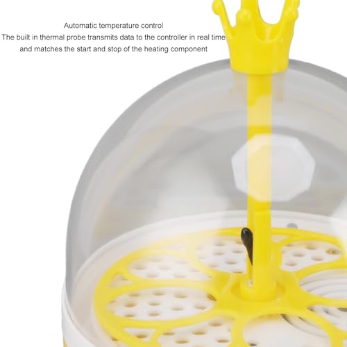 Dpofirs Small Incubators for Hatching Eggs, Mini Egg Incubator for Home Automatic Temperature Humidity Control Eggs Candler Poultry Hatching Machine for Chickens Ducks Pigeons (Manual - size: Manual Turning