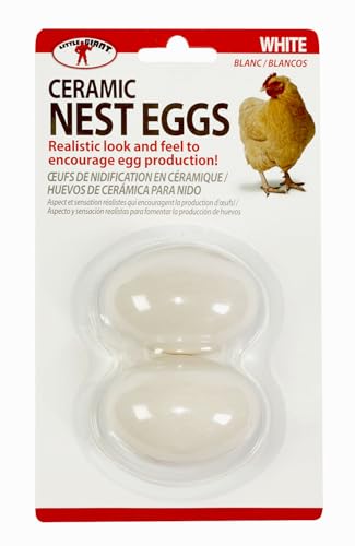 Little Giant® Large Egg Basket Kit | Chicken Egg Basket with Ceramic Eggs | Egg Collecting Basket Kit (White Eggs, Large Basket (13 Inches)) - color: White Eggs, size: Large Basket (13 Inches)