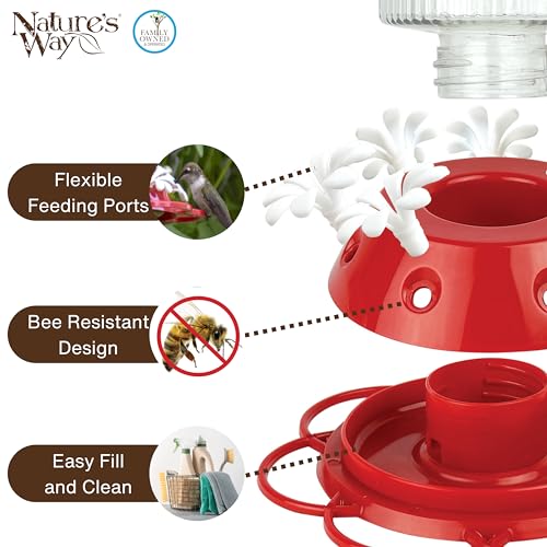 Nature's Way Hanging Glass Hummingbird Feeder for Outdoor Décor, 28 Ounce Capacity Nectar Feeder, Ant Moat, 7 Easy to Clean Flexible Ports, Red - style: 28 Ounce Capacity