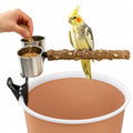 Bird Potty Training Stand with Trash Can Clip, Natural Wood Parrot Perch with 2 Stainless Steel Bowls for Cockatiels, Conures, Budgies, Lovebirds,4248-1