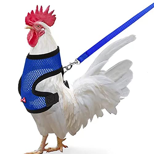 Chicken Harness (Medium, Blue) with Leash, Breathable, Adjustable, Comfortable for Chickens, Ducks, Geese, and Small Pets