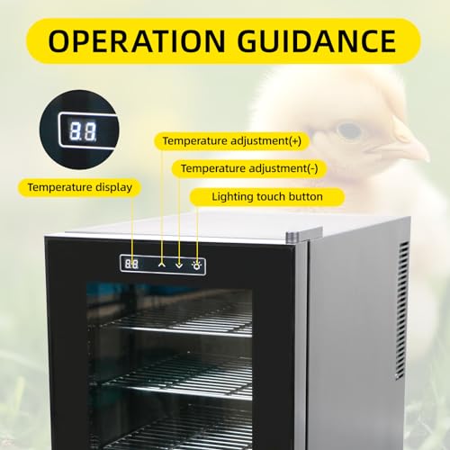 Reptile Incubator 33L Scientific Lab Incubator Digital Incubator Cooling and Heating Temperature can be Controlled at 50℉~104℉ Reptile Egg Incubator 110V Work for Small Reptiles - size: 33L