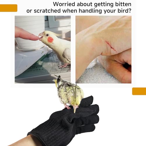 QBLEEV 1 Pair Bird Handling Anti-Bite Gloves, Small Animal Bite Proof Gloves for Training - color: Black